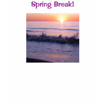 Spring Break! t-shirts