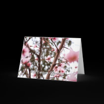 Spring Breeze Blossom flower Greeting Card cards