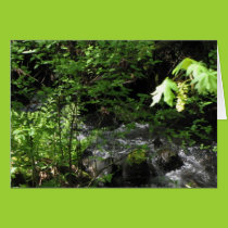 Spring Brook Card cards