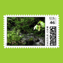 Spring Brook Postage stamps