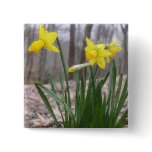 Spring Bulbs - Daffodils Pins