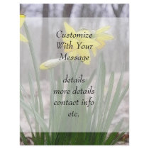 Spring Bulbs - Daffodils Flyer Design
