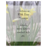 Spring Bulbs - Daffodils flyers
