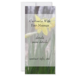 Spring Bulbs - Daffodils Rack Cards