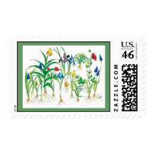 Spring Bulbs postage stamp