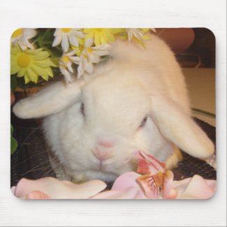 Spring bunnies mousepad