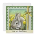 Spring bunny announcement