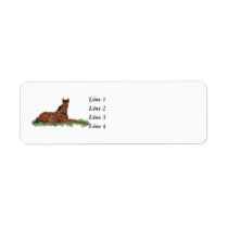 Spring Butterfly Horse Colt labels