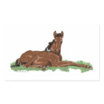 Spring Butterfly Horse Colt stickers