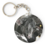 Spring Calf Keychain