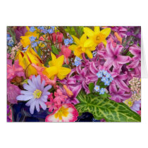 SPRING cards