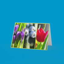 Spring Card cards
