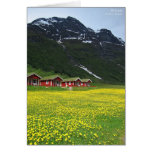 Spring Greeting Cards