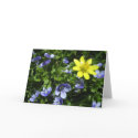 Spring cards