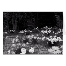 Spring cards