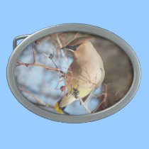 Spring Cedar Waxwing belt buckles