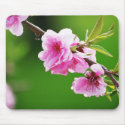 Spring Cherries Mousepad