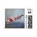 Spring Cherry Blossoms Stamps