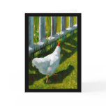 chicken, spring chicken, aging, older, 50th,
