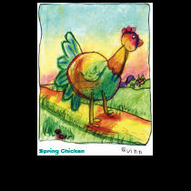 Spring Chicken t-shirts