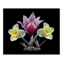 Spring Collage ~ print by Andy2302 Spring Collage ~ print