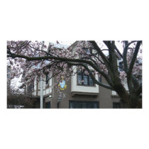 Spring college scene photo cards by jeekers17 Spring college scene photo cards