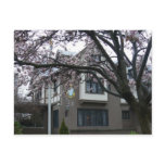 Spring college scene post cards