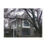 Spring college scene post cards