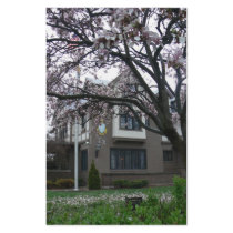 Spring college scene stationery