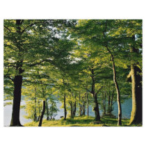 Spring color, Rydal, Lake District, England Custom Flyer