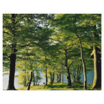 Spring color, Rydal, Lake District, England flyers