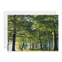 Spring color, Rydal, Lake District, England Invite