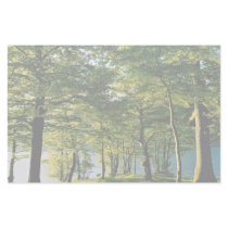 Spring color, Rydal, Lake District, England Personalized Stationery