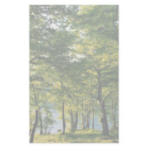 Spring color, Rydal, Lake District, England Custom Stationery