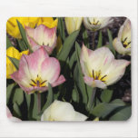 Spring colors mouse pads