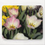 Spring colors mouse pads