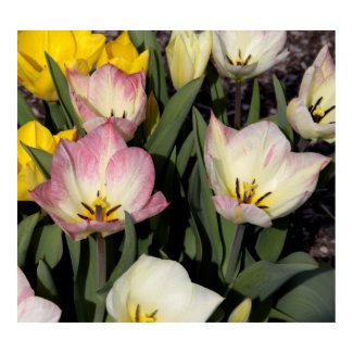Spring colors print