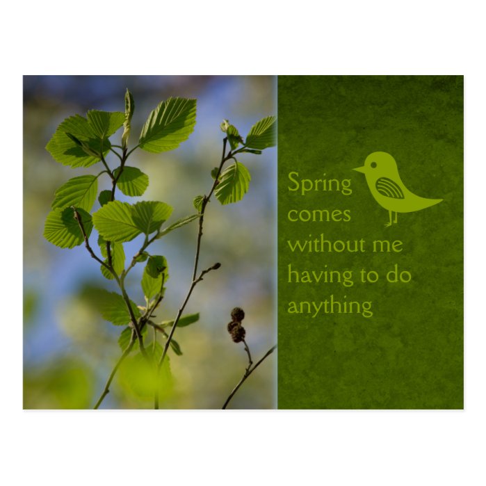 Spring comes anyway CC0836 Relaxing words Postcard