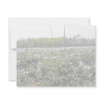 Spring Cotton grass on Grid 37394 invitations