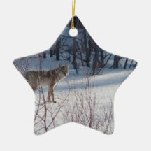 Spring Coyote Ornaments