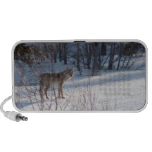 Spring Coyote Speakers