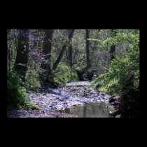 Spring Creek posters
