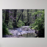 Spring Creek Posters