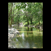 Spring Creek Tributary posters
