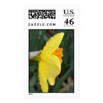 spring daffodil postage by stumptrain spring daffodil postage