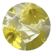 Spring Daffodil Stickers