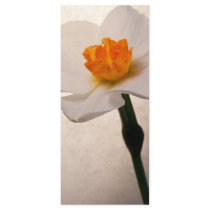 Spring Daffodil Wedding Program Full Color Rack Card