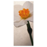 Spring Daffodil Wedding Program Full Color Rack Card