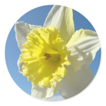 Spring DAFFODILS 11 STICKERS Flowers Blue Sky Art by Basleeartprintgifts Spring DAFFODILS 11 STICKERS Flowers Blue Sky Art