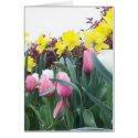 Spring Daffodils and Tulips cards